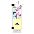 N-StageFujisawa 310