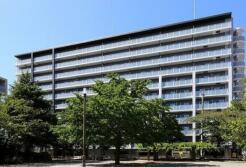 LIBR GRANT 藤沢 501メイン写真